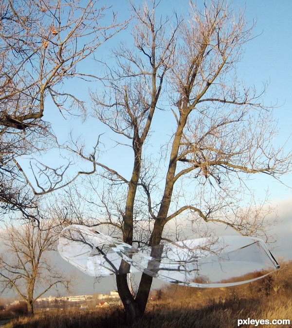 the strip and the tree